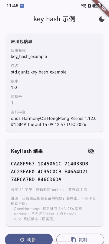 Example 启动授权
