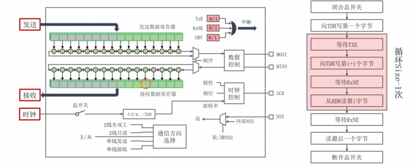【STM32】江科大STM32小白养成记