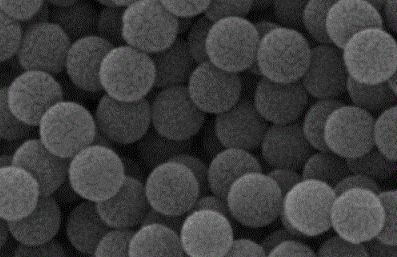 SA@PS微球,Streptavidin@PS Microspheres-CSDN博客