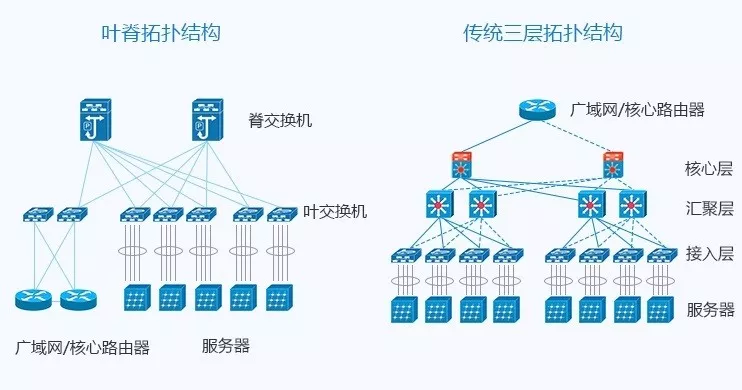 左-叶脊结构;右-胖树结构