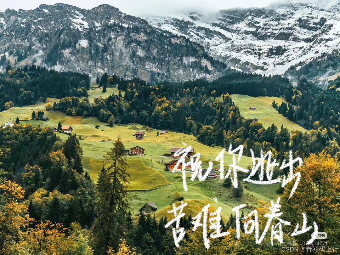 在这里插入图片描述
