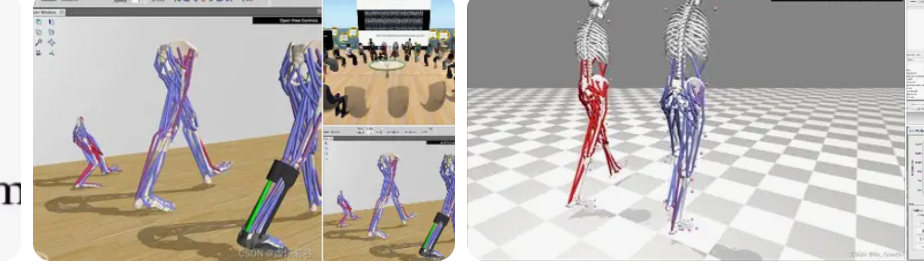 从肌骨仿真到多场景落地:OpenSim全攻略(含人机耦合+信号处理+Paper分析)-CSDN博客