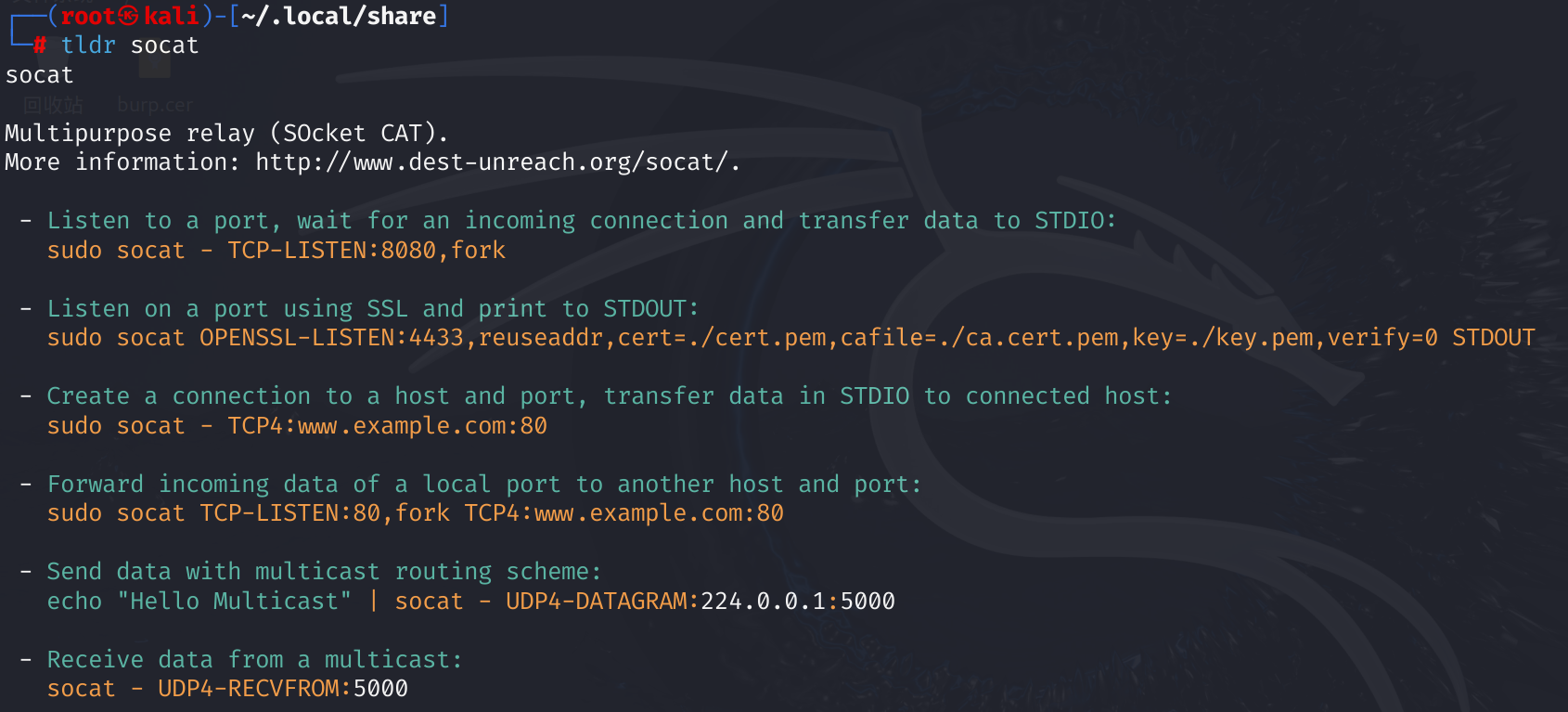 告别繁琐文档！3步教你用TLDR 快速掌握终端命令，小白的救星！-CSDN博客