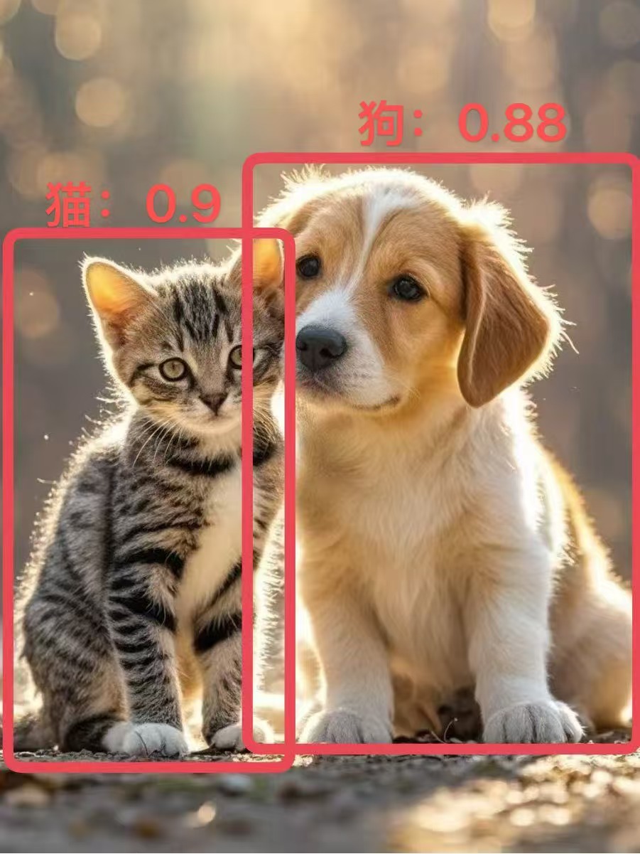 目标检测的结果