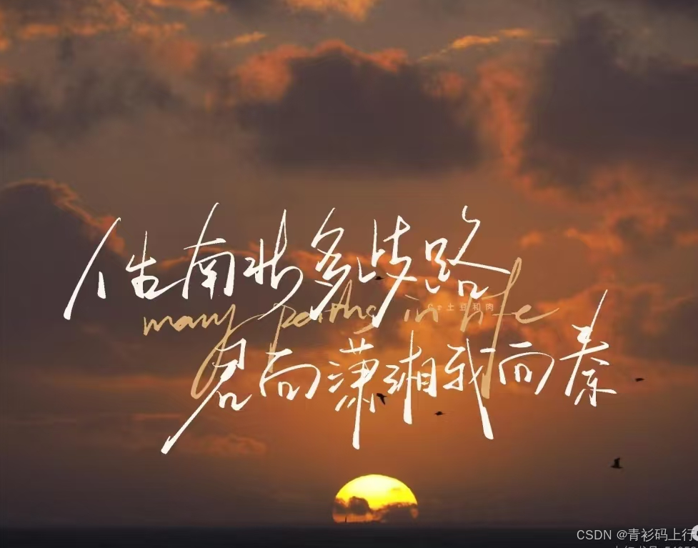 在这里插入图片描述