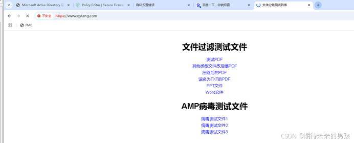 SEC_FirePower 第三天作业