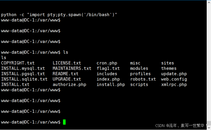 在这里插入图片描述