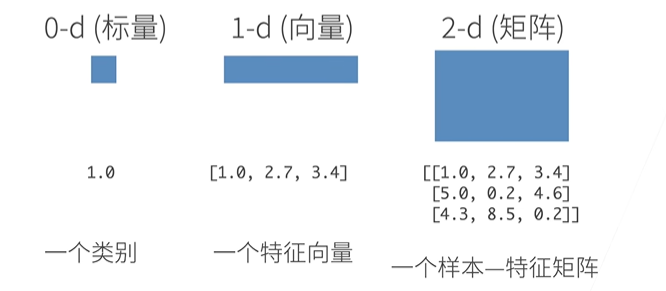 数组样例1
