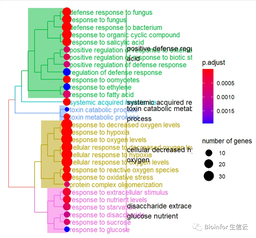 bulk RNA-Seq（8）富集分析_circle plot 富集分析-CSDN博客