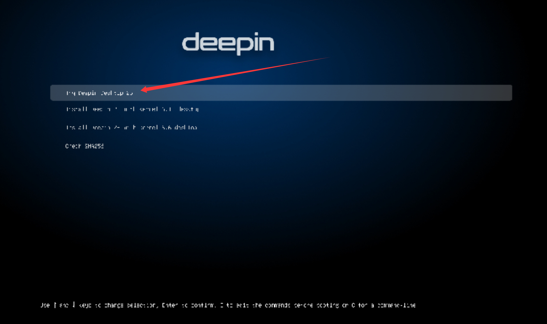 deepin2025_install01