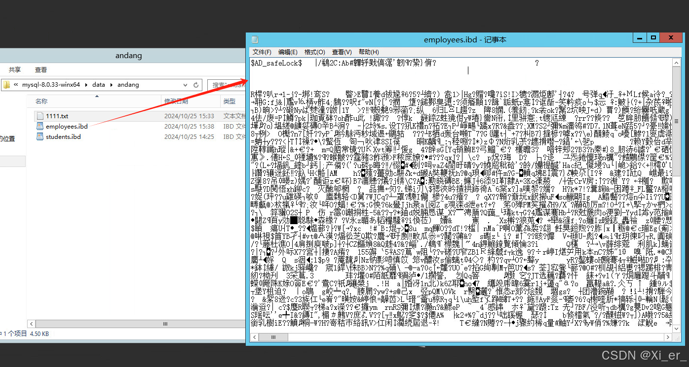 【安当产品应用案例100集】026-MySQL数据库的透明加密:让数据安全触手可及_mysql数据库透明模式-CSDN博客