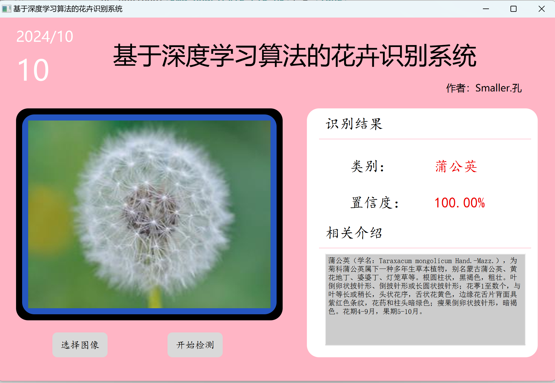 [请在此处插入占位符：请插入识别成功效果图]