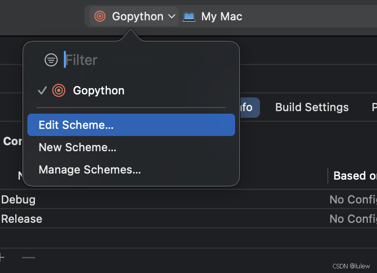 Xcode16.2搭建python3.13（成功一遍过）_xcode python-CSDN博客