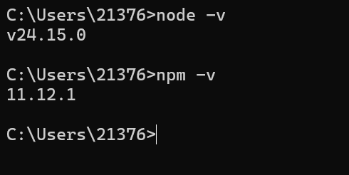 【图片占位：node 和 npm 版本验证截图】