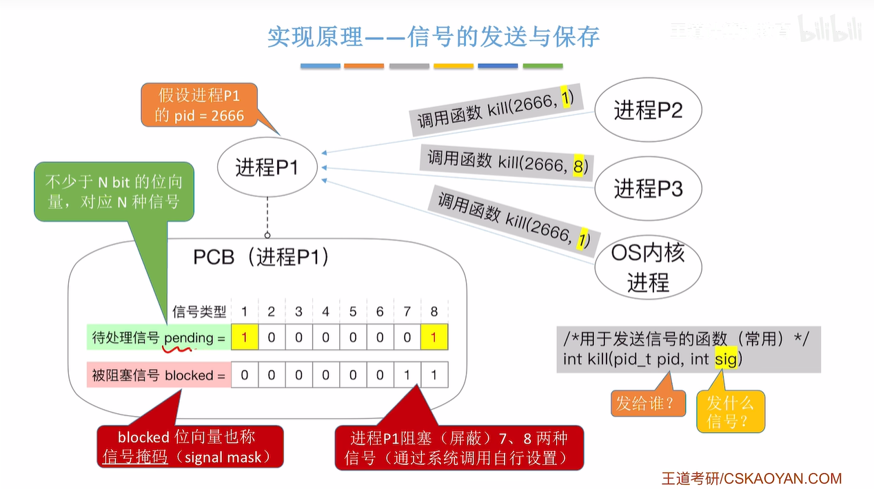 kill函数使用示例