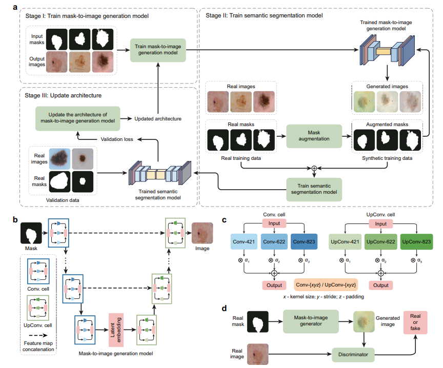 Proposed end-to-end data generation framework for improving medical image segmentation in ultra low-data regimes.