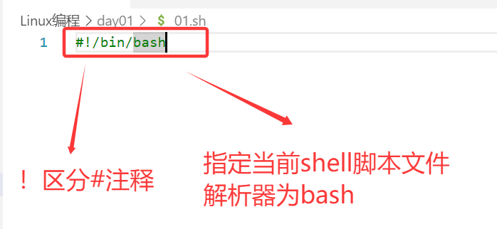 Shell脚本编程入门指南_shell脚本编写入门-CSDN博客