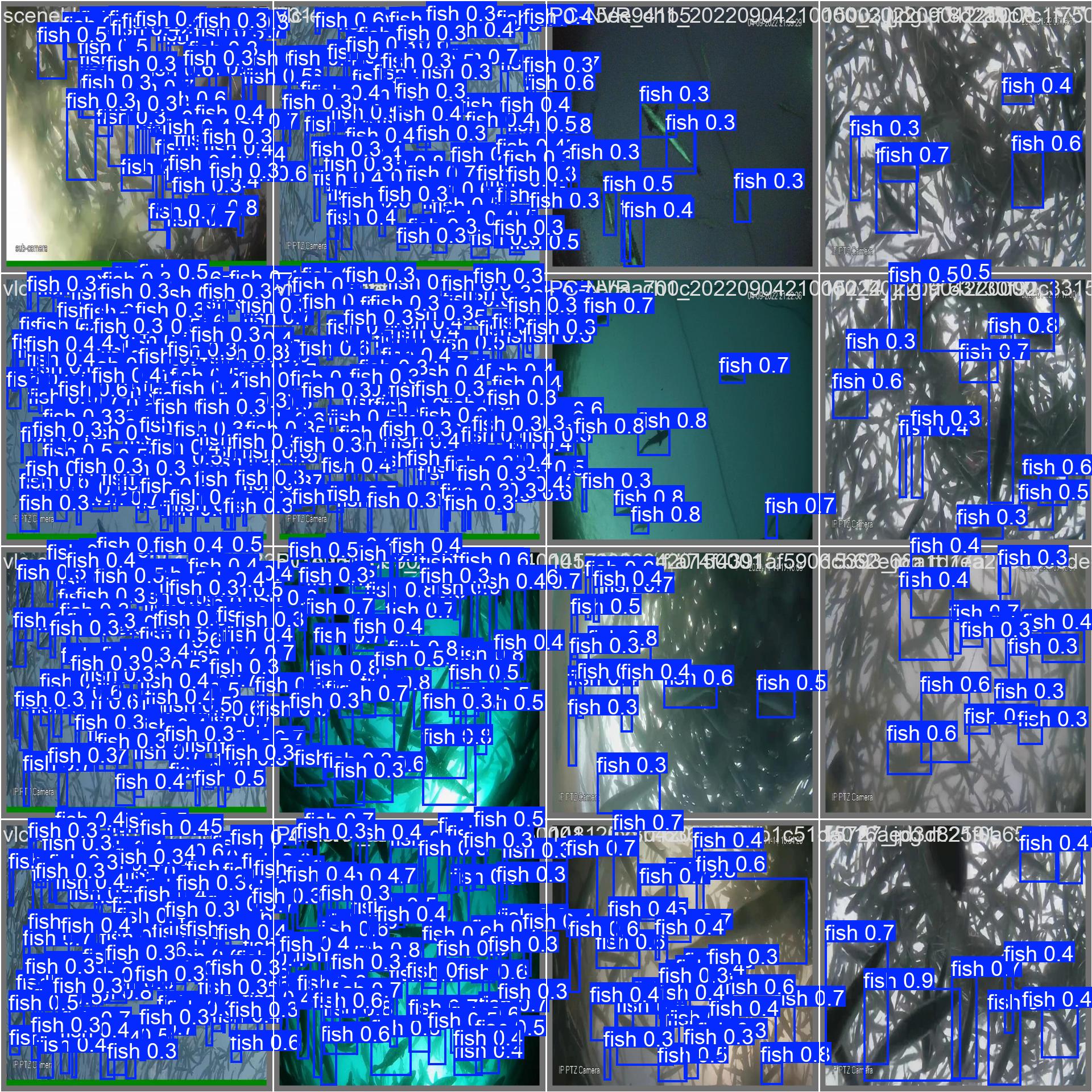 lo-fi python | page 2 Images High Quality Grahic YOLOv8水下鱼类识别检测系统(项目源码+YOLO数据集+模型权重+UI界面+python+深度学习+环境配置)_鱼类算法识别-CSDN博客