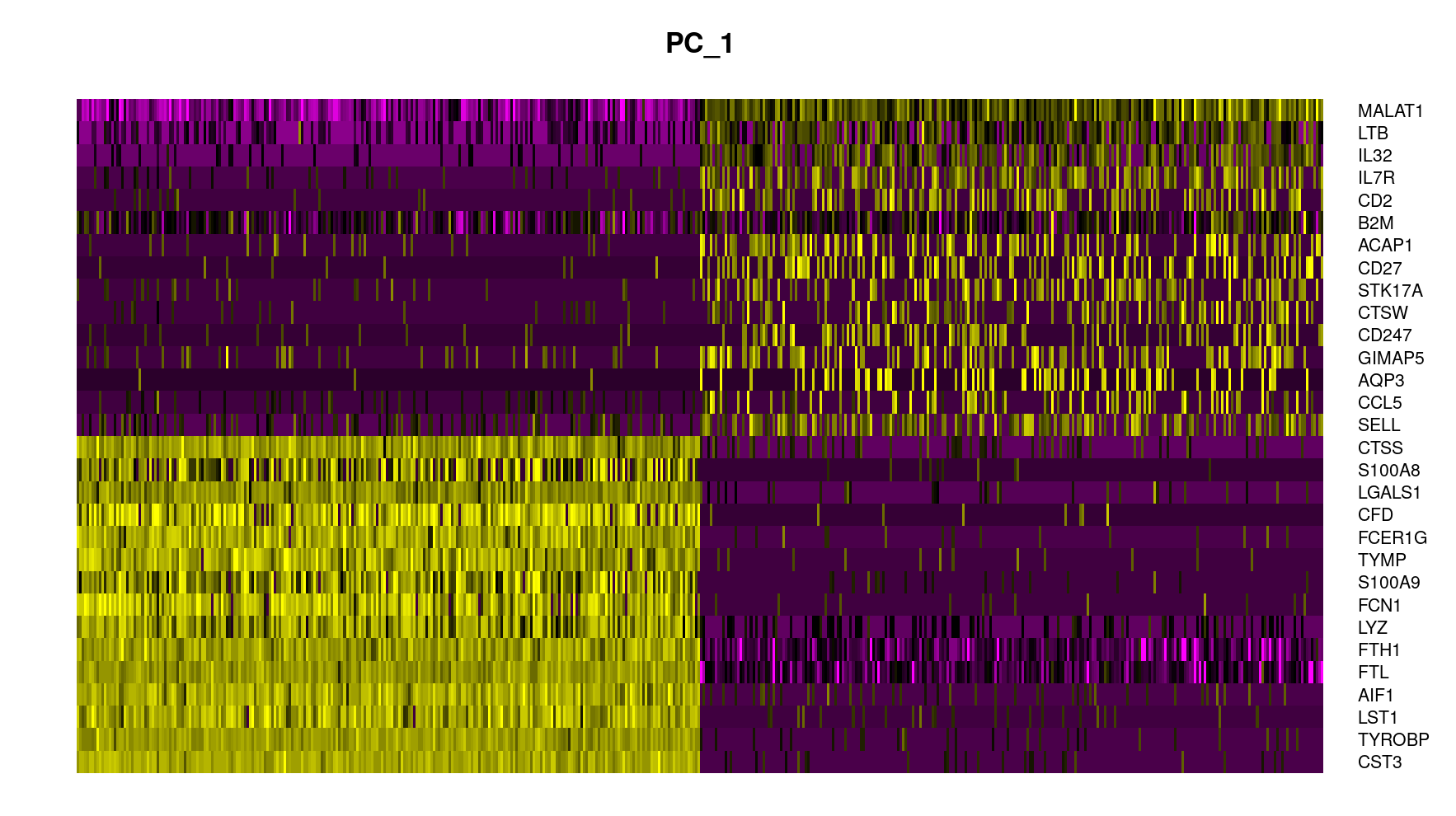 DimHeatmap
