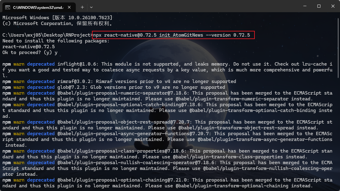 执行项目初始化命令