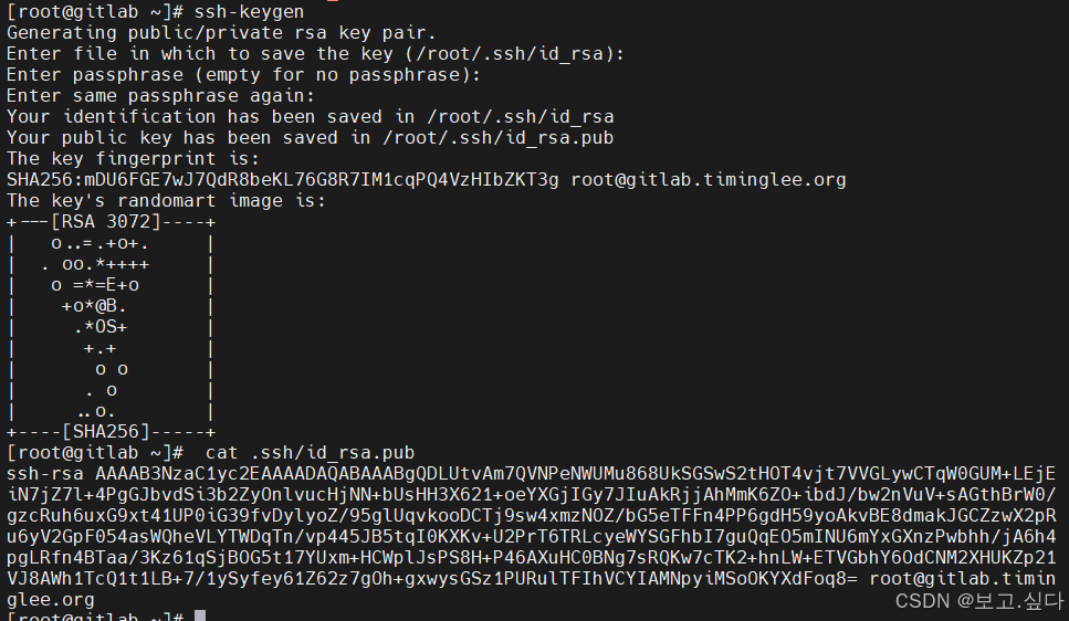 CICD 持续集成与持续交付