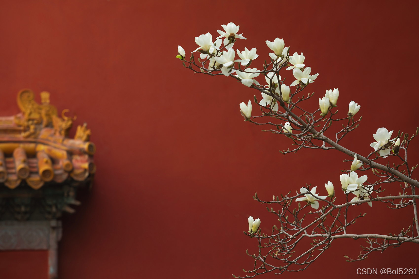 *JDK 21**（2023年9月发布）是**当前广泛使用的 LTS 版本**，获得 Oracle 和主流厂商长期支持_jdk21-CSDN博客