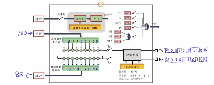 【STM32】江科大STM32小白养成记