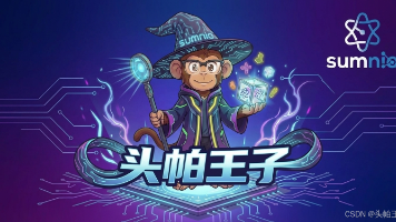 文章图片