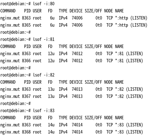 lsof 查看 nginx 打开的端口