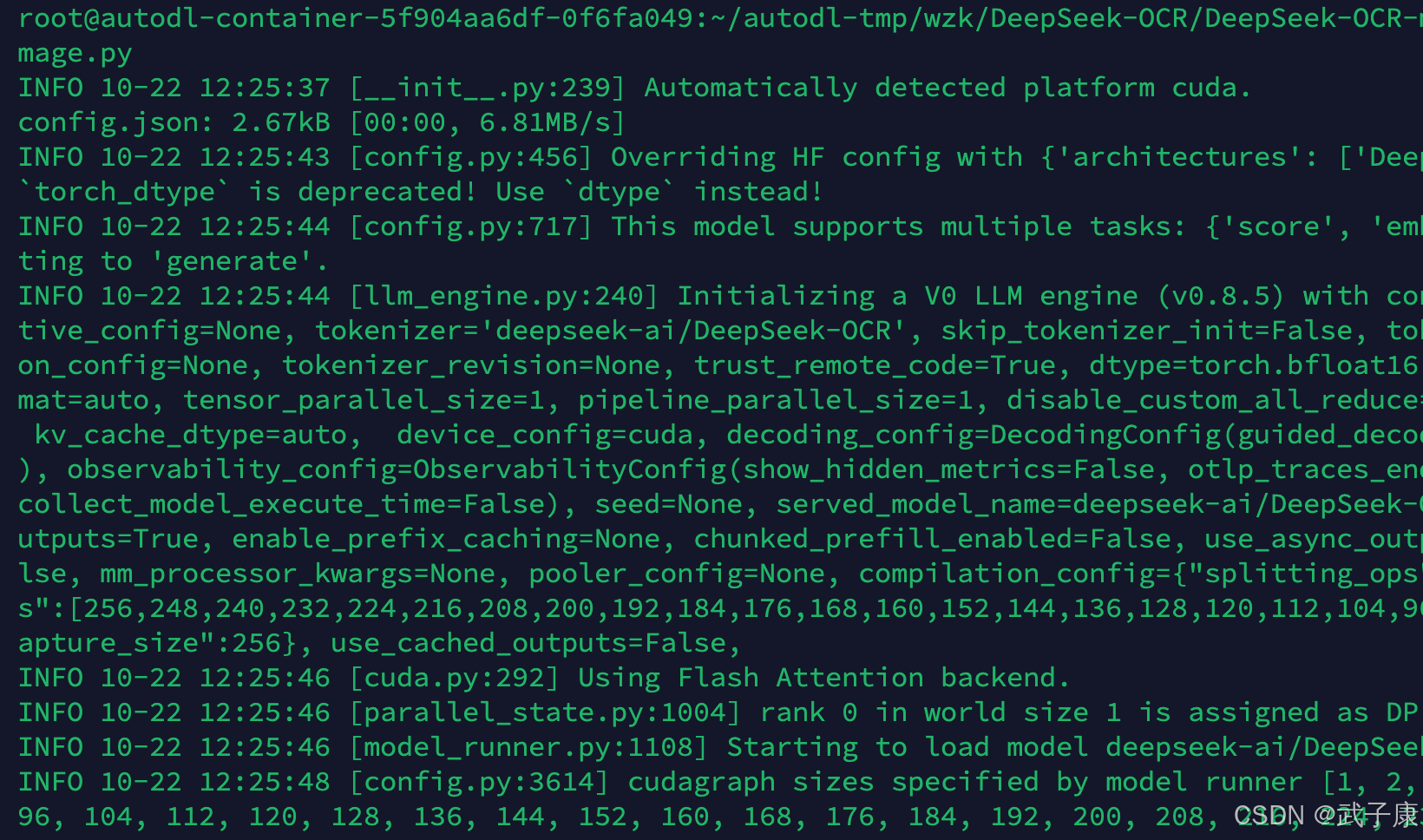 DeepSeek-OCR 运行 image