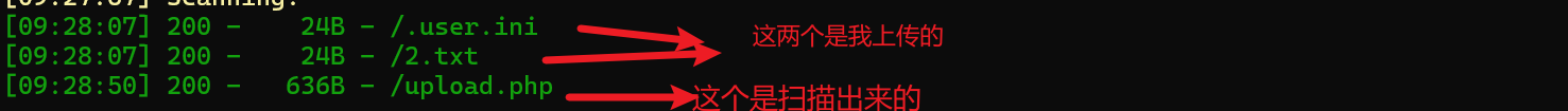 ctf.show web