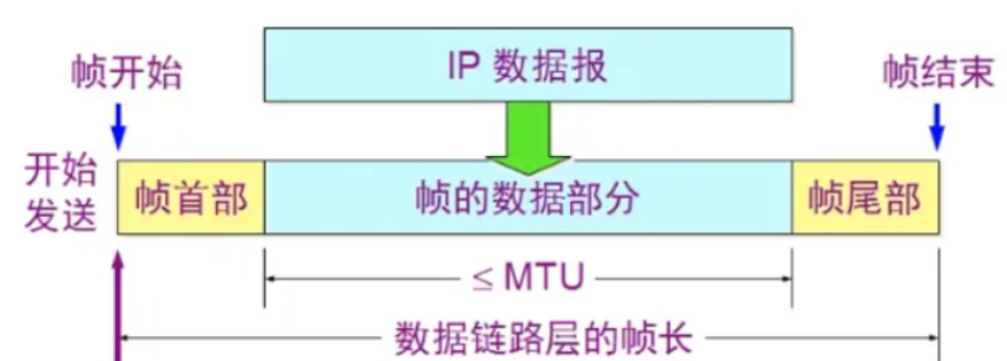 帧的组成