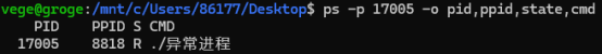 父进程
