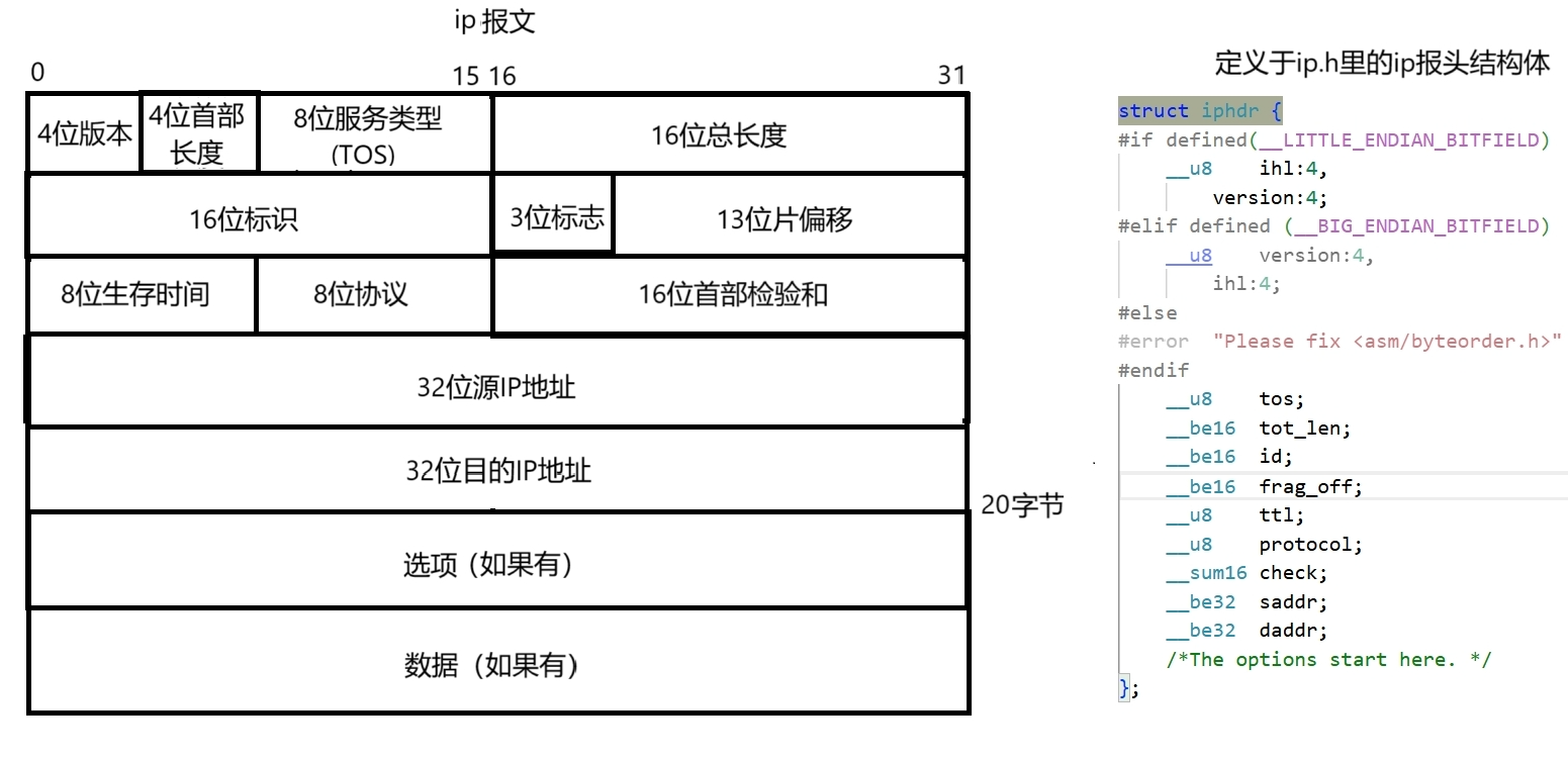 IP报头