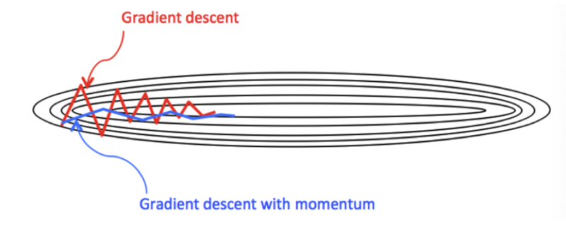 Momentum