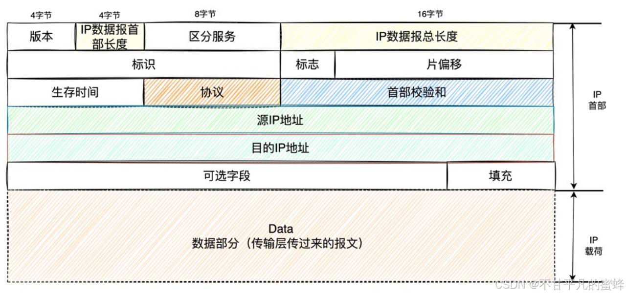 第二十五：IP网络层的数据，IP数据报