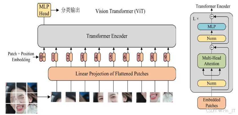 毕业设计：基于深度学习的舌诊图像分割技术 人工智能