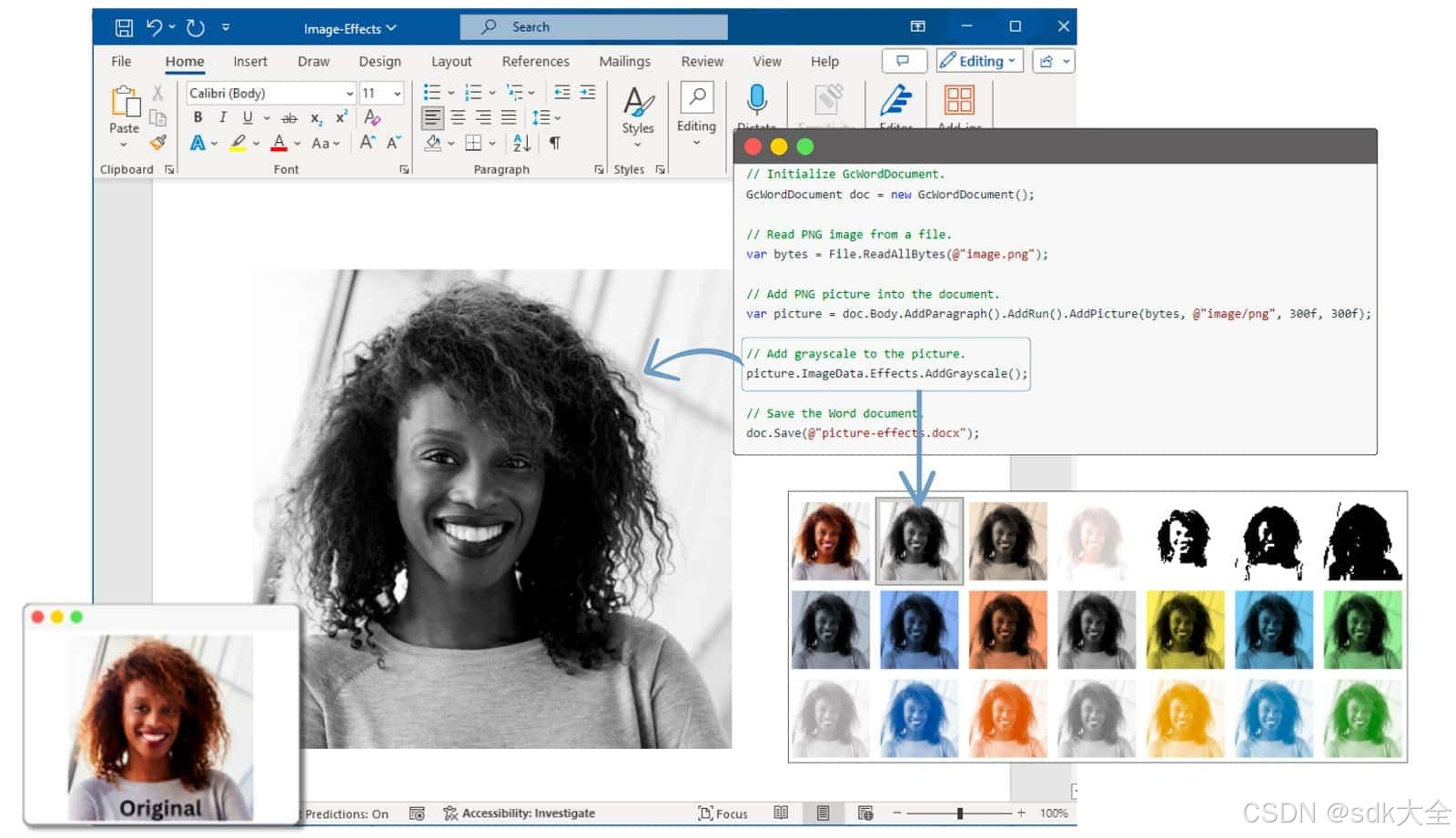 Word 文档解决方案 (DsWord,以前称为 GcWord) 8.1.1-CSDN博客