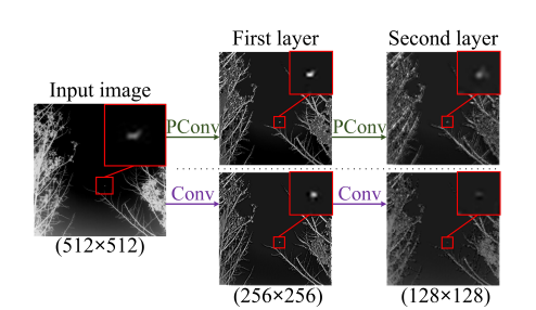 Visualization of PConv and Conv output results