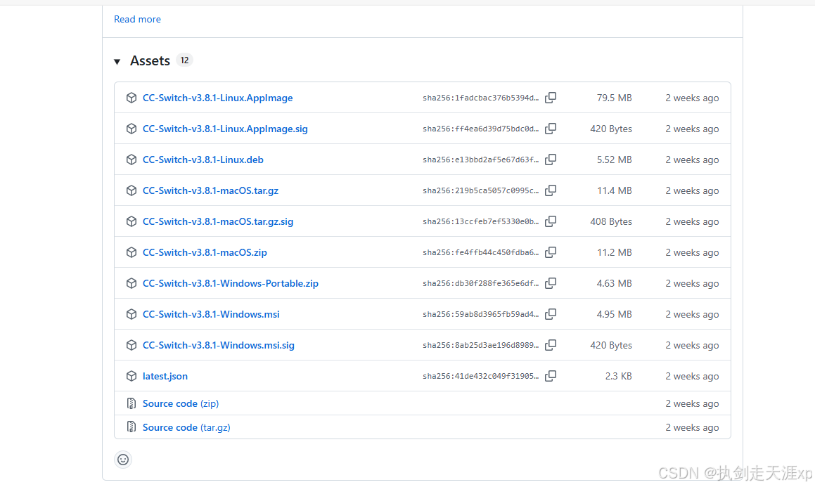 claude code cc switch 配置指南