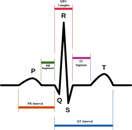 心电图检测仪怎么用基于STM32的心率检测仪设计与实现_https://www.jmylbn.com_新闻资讯_第2张