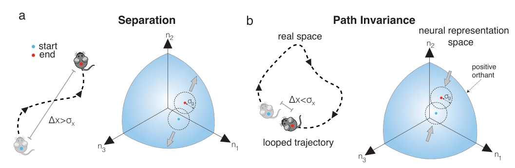 23-NeurIPS-Self-Supervised Learning of Representations for Space Generates Multi-Modular Grid Cells