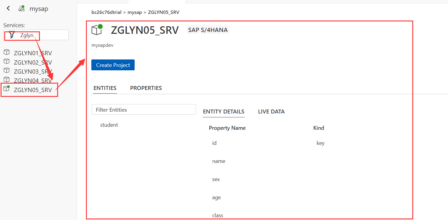SAP 搭建BAS环境开发Fiori (胎级教程)_sap fiori开发教程-CSDN博客