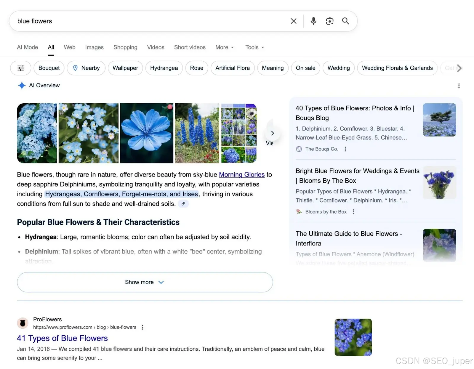 页面SEO高效优化指南：2026年无遗漏核心检查清单-CSDN博客