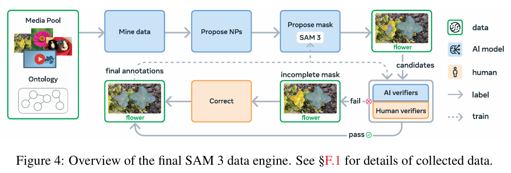 SAM 3 数据引擎流程,数据引擎通过多阶段流程,逐步提升标注数据的多样性、难度和质量