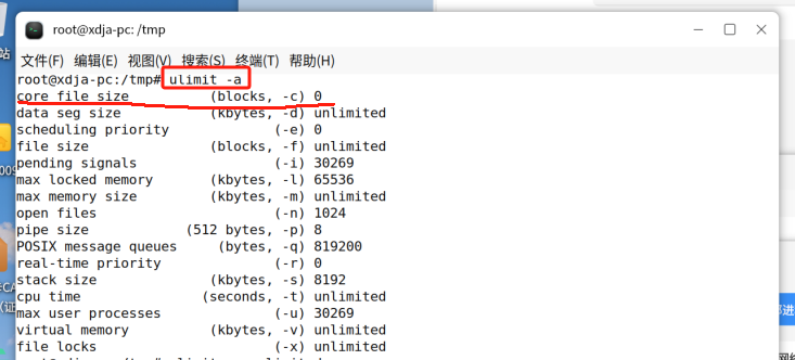ubuntu下core file文件生成_ubuntu core文件-CSDN博客