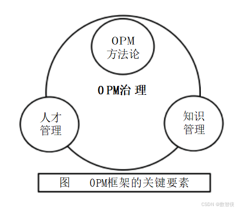 高项-高级知识域(二十)_opm高项-CSDN博客