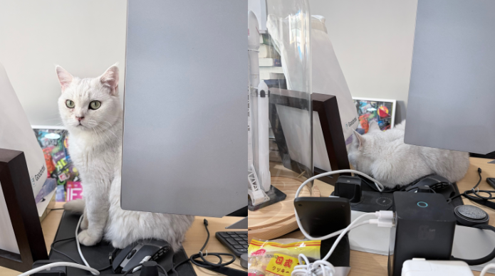 谷歌发布 Veo 3.1 视频生成模型：有声电影、长视频叙事与人物定制的实测与展望