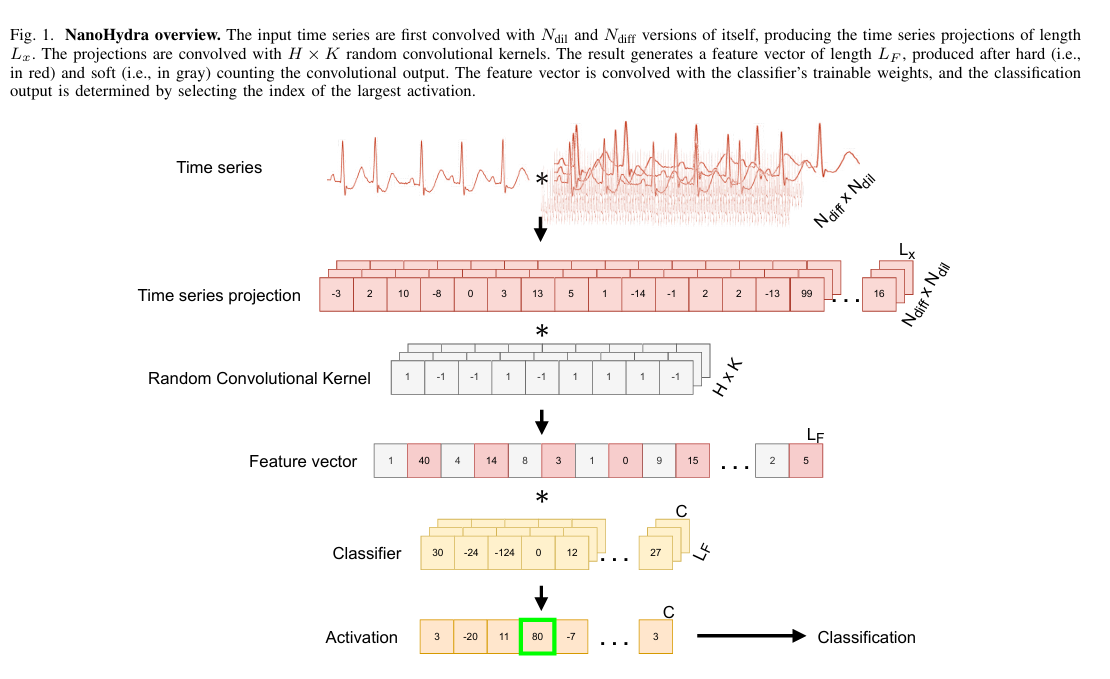 NanoHydraoverview.