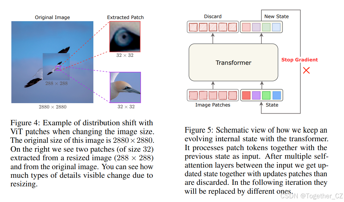 Vision encoders should be image size agnostic and task driven——视觉编码器应与 ...